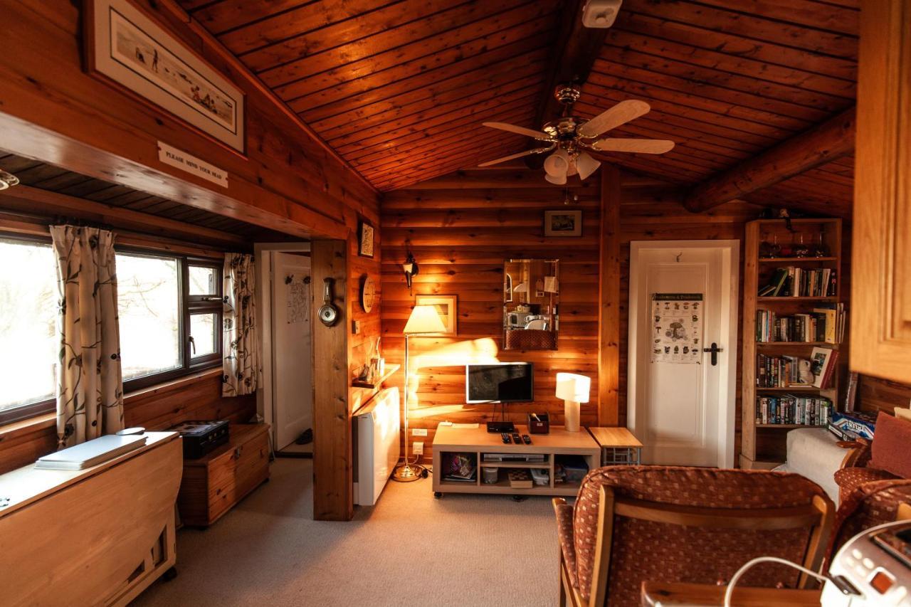 Rustic Log Cabin In Snowdonia By Seren Short Stays Trawsfynydd Exterior foto